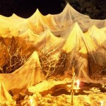 amarnath2