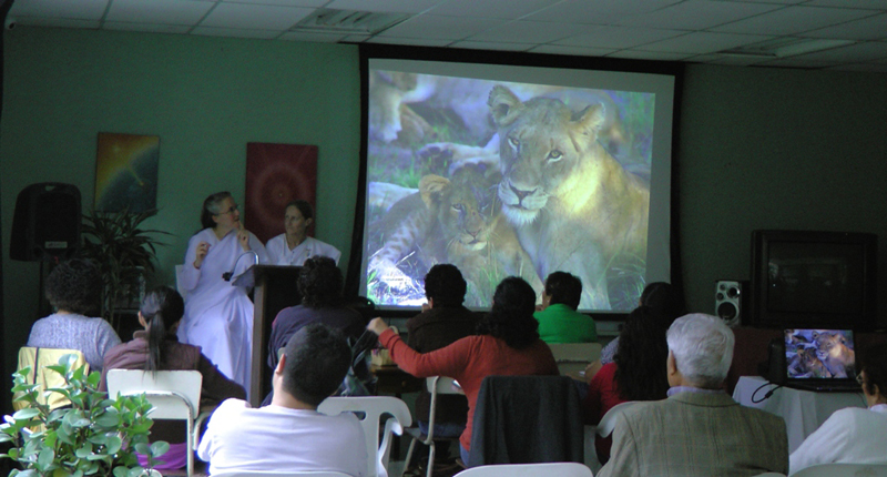 Awaken the Dreamer -Guatemala